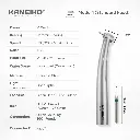Model 1 (Details).webp